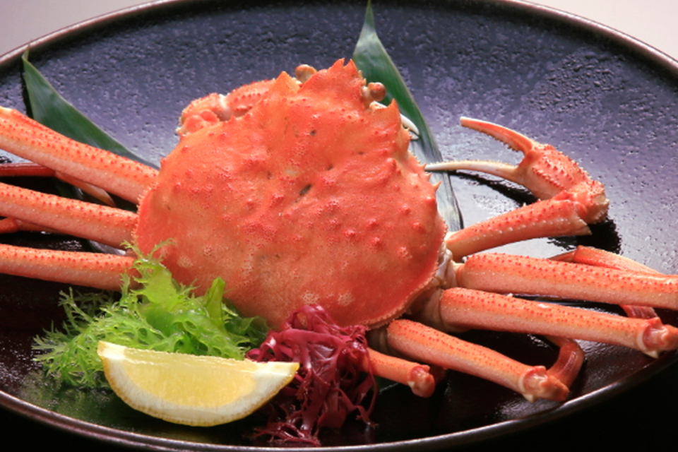 ◆富山冬の味覚・特撰会席◆　～紅ズワイ蟹・新鮮な近海魚の舟盛～　
